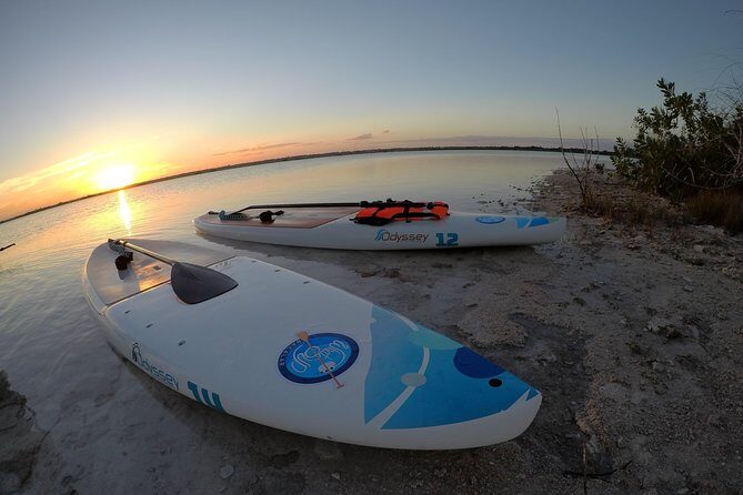 Golden Hour at Mariscal Lagoon: A Sunset to Remember - Key things that make this golden-hour SUP tour work