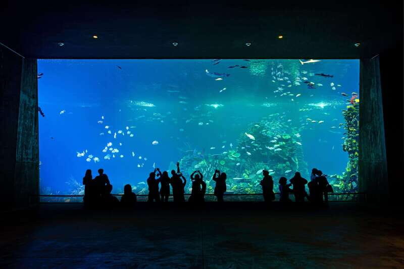 Gran Acuario Mazatlan - Gran Acuario Mazatlán in one breath: Sea of Cortez, big architecture, one ticket