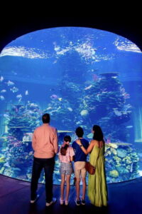Gran Acuario Mazatlan - Arriving and getting oriented at the main entrance