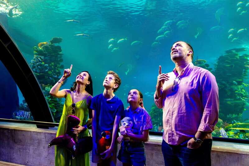 Gran Acuario Mazatlan - Crash tank to Coral City: the wave-energy moment up front