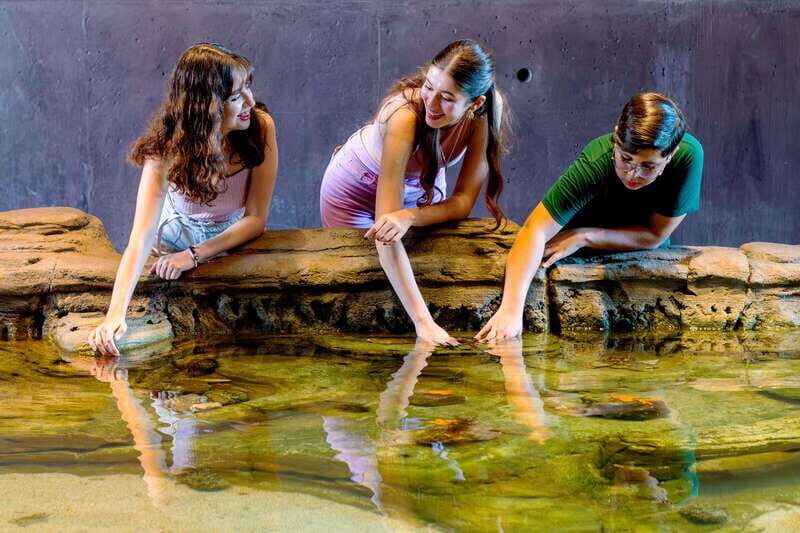 Gran Acuario Mazatlan - Bird theater and language reality