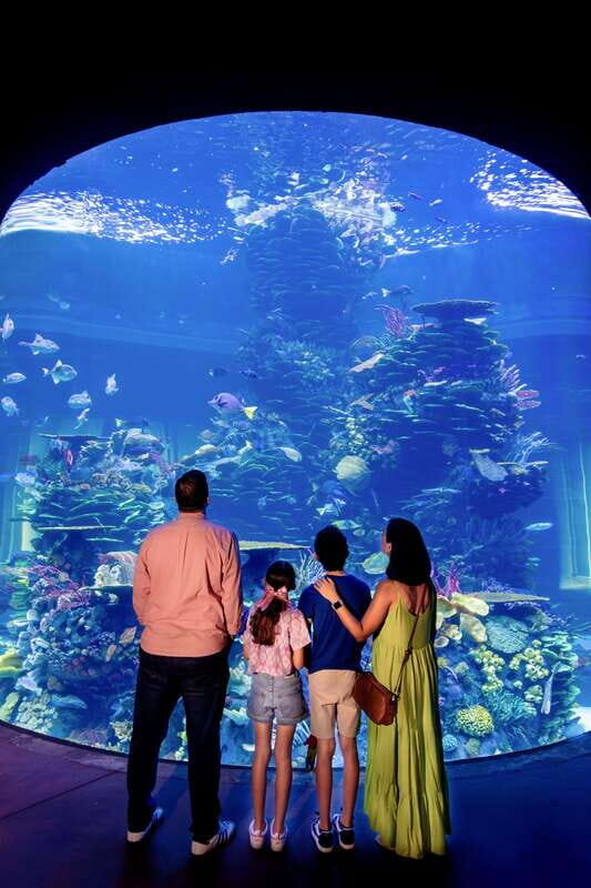 Gran Acuario Mazatlan - Arriving and getting oriented at the main entrance