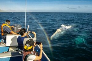 Gray Whale Watching Tour with Marine Biologist and Small Group - The Puerto Chale Drive: The Part You Can’t Skip