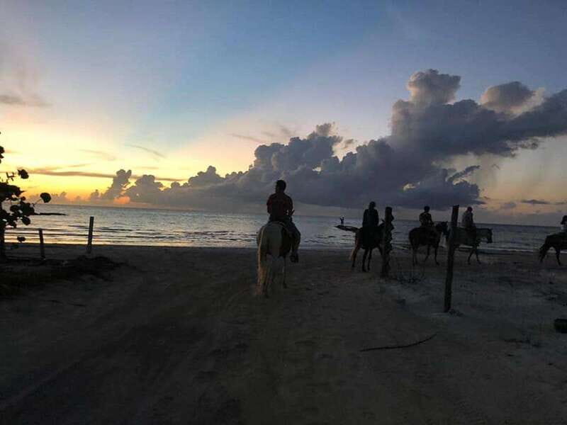 Group horseback ride on Holbox Island, Quintana Roo - Quick Highlights You’ll Care About