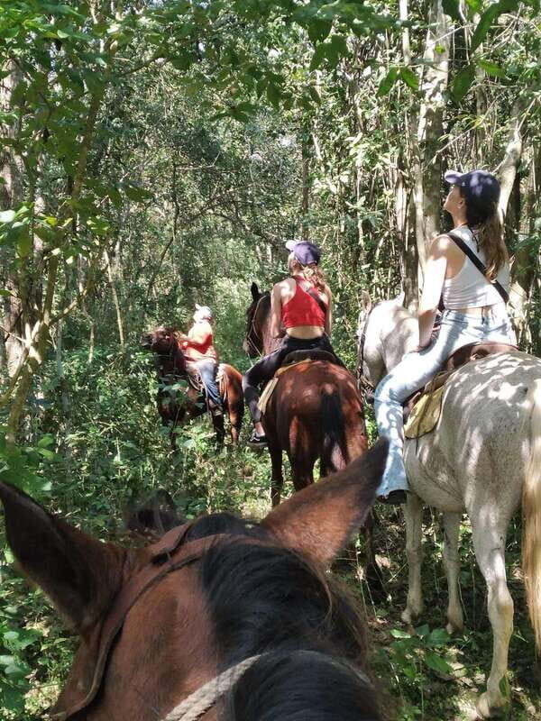 Group horseback ride on Holbox Island, Quintana Roo - Holbox Horseback Basics: 80 Minutes, Small Groups, One Horse Each