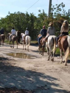 Group horseback ride on Holbox Island, Quintana Roo - Punta Siricote Mangroves: Why This Route Feels Worth the Time