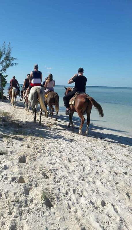 Group horseback ride on Holbox Island, Quintana Roo - The Beach Stretch: Birds, Photos, and a Change of Pace