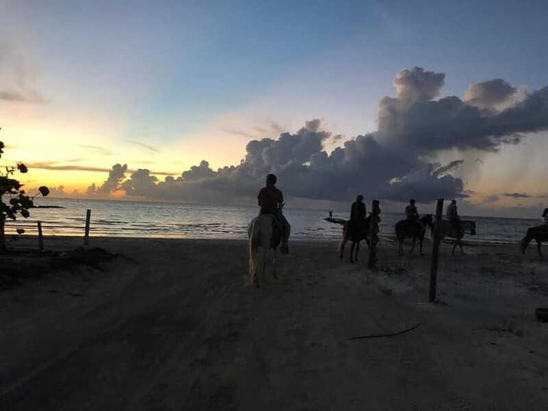 Group horseback ride on Holbox Island, Quintana Roo - Meet Victor and the Family-Run Style of Hosting
