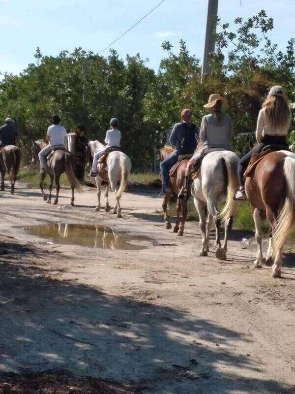 Group horseback ride on Holbox Island, Quintana Roo - Punta Siricote Mangroves: Why This Route Feels Worth the Time