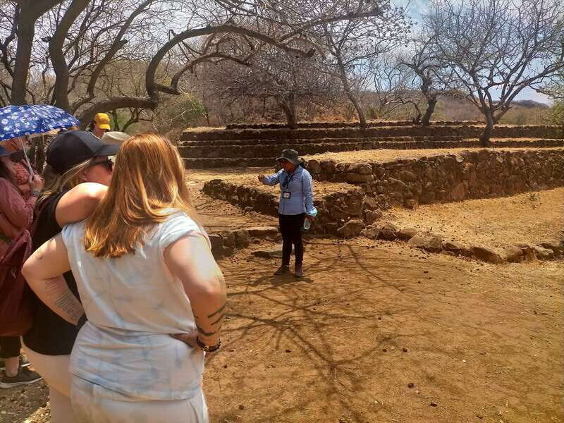 Guadalajara: Guachimontones pyramids Archaeological Site - Should You Book This Guachimontones Tour or Look Elsewhere?