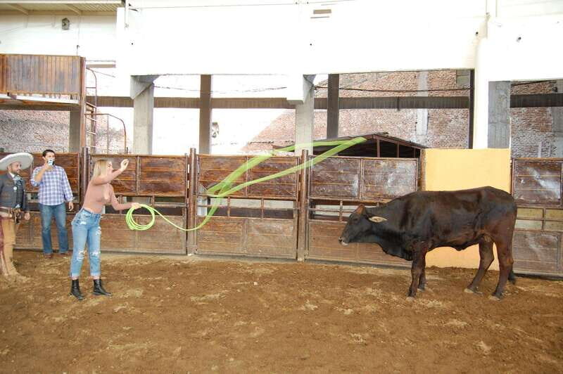 Guadalajara: Mexican Charro and Charreada Cultural Tour - Lasso Basics: The Real Skill Lesson (and How It’s Framed)