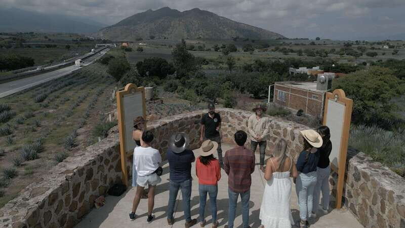 Guadalajara: Premium Tequila Tour with Tastings and Pairings - Tequila Selecto de Amatitán: ancestral vs industrial production, then a guided tasting