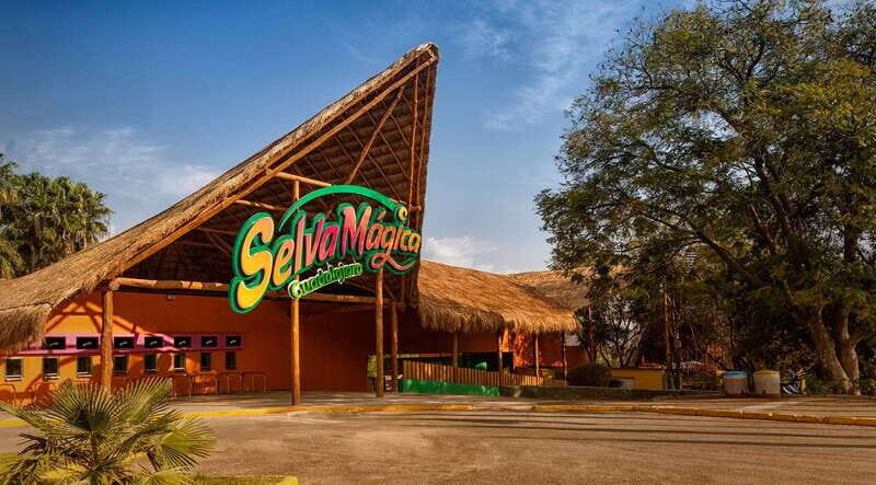 Guadalajara: Selva Magica Park with VIPPass - Comando Training Center: The Extra Layer Beyond “Just Rides”