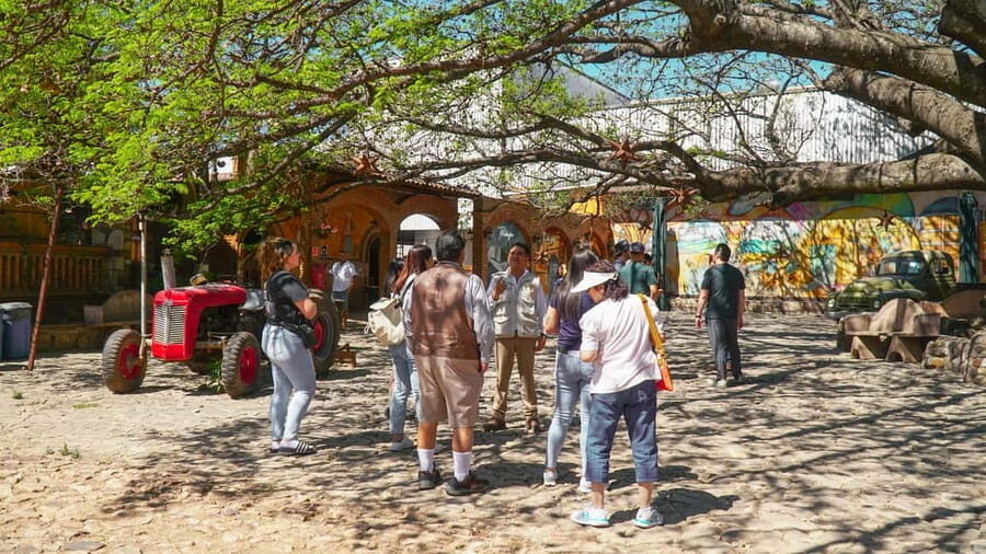Guadalajara: Tequila Day Trip with Jose Cuervo Option - Who This Tour Fits Best (and Who Should Pass)