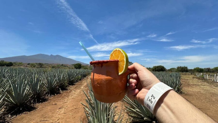 Guadalajara: Tequila Day Trip with Jose Cuervo Option - Guadalajara to Tequila: The Agave Drive That Sets the Mood