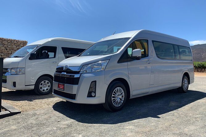 Guadalupe Valley Private Driver Tour - Vina de Frannes: Vineyard Views and Mexican Wine Tasting Time