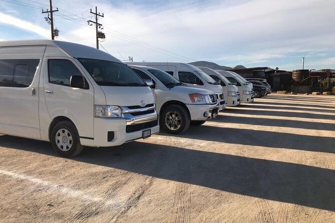 Guadalupe Valley Private Driver Tour - Monte Xanic: A Classic Old-Estate Feeling With Great Views