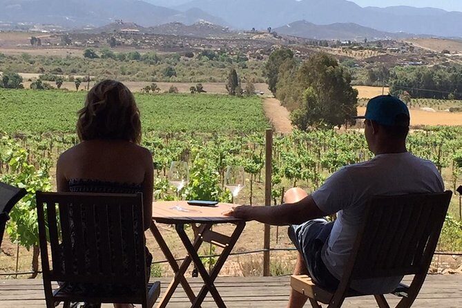 Guadalupe Valley Wine Route Tour in Baja California - Walking the vineyards in Valle de Guadalupe: barrels, fermentation, and Russian-colony context