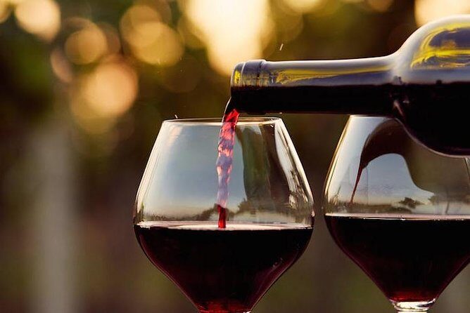 Guadalupe Wine Valley Tour - Quick takeaways (what makes this tour work)
