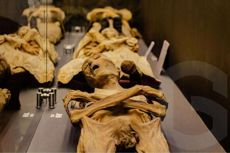 Guanajuato: Mummies, Mines and Tunnels Guided Group Tour - Museo de Momias Viajeras: how to handle the line and still enjoy it