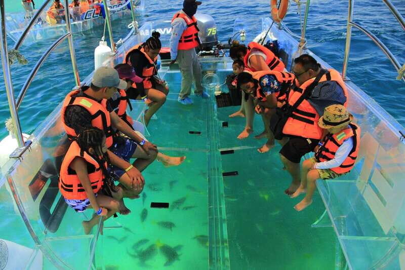 Guided Cabo Tour: Boat | Tacos & Tequila | Photos & Transfer - Digital Photos After: A Clean Way to Bring Cabo Home
