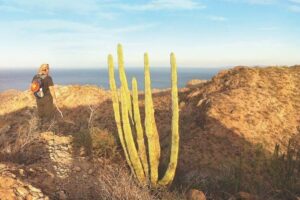 Guided Hike in Tabor Canyon - Entering Tabor Canyon: The 3-Mile, 1,000-Foot Reality Check
