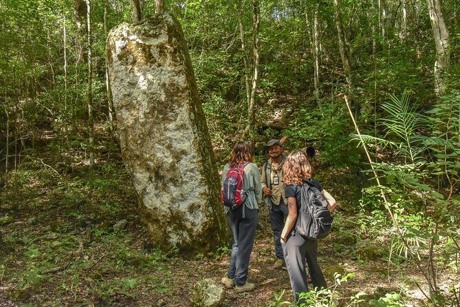 Guided historical tours at the Mayan cities! - The second stop: Mayan architecture plus local flora and fauna
