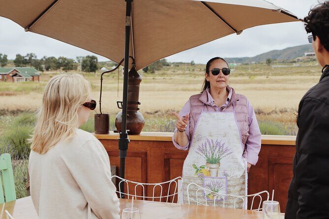 Guided Lavender Experience: Cultivation, Uses and Tasting - Where Aires de Lavanda fits in your Ensenada day