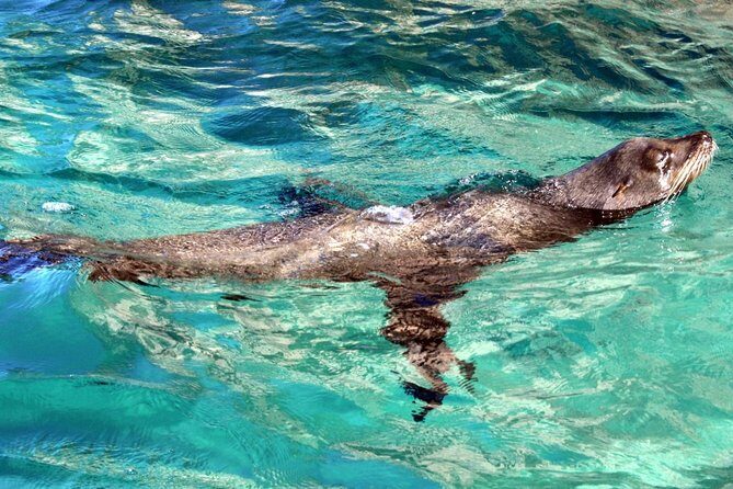 Guided Tour Los Cabos: Boat | Tacos & Tequila | Photos & Transfer - Driving the Tourist Corridor While Your Guide Sets the Context