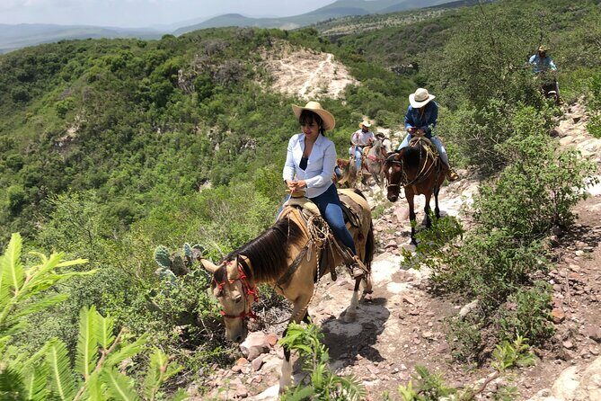 Half Day Excursion - Horseback Riding Adventure in SMA - Milking cows and cheese-making: the farm part you’ll actually remember