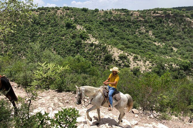 Half Day Excursion - Horseback Riding Adventure in SMA - Who should book this horseback adventure