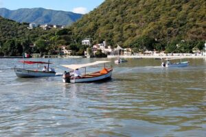 Half-Day Guided Tour of Lake Chapala from Guadalajara - Lake Chapala: Photos, Market Browsing, and a Chance to Bring Binoculars