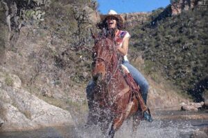 Half-Day Horseback Riding Adventure - Getting to Coyote Canyon: meeting point, timing, and group size