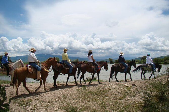 Half-Day Horseback Riding Adventure - Horses, instruction, and safety reality on steep terrain