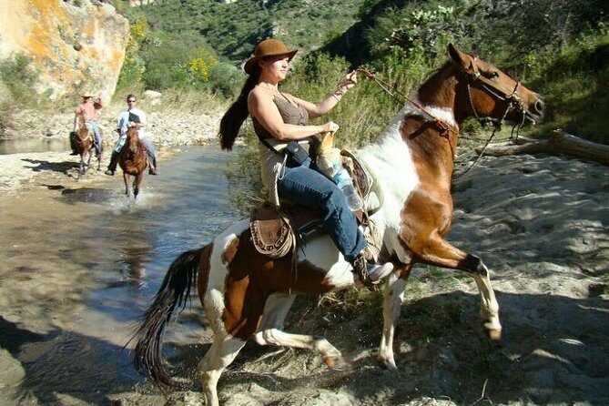 Half-Day Horseback Riding Adventure - Should you book it? This is for adventure lovers, not couch-day planners