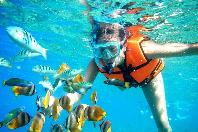Half-Day Puerto Morelos Snorkeling Experience with Lunch - The Half-Day Timeline: What a 7-Hour Tour Feels Like