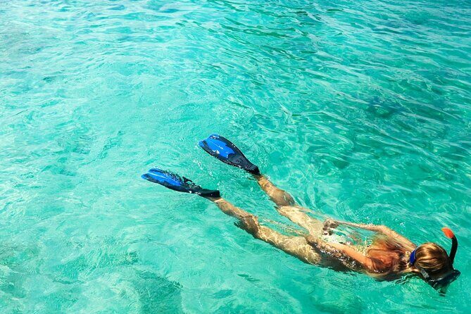 Half-Day Puerto Morelos Snorkeling Experience with Lunch - The Biggest Tradeoffs: Timing, Restrictions, and Occasional Mix-Ups