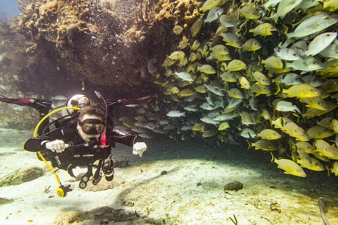 Half-Day Scuba Diving in Playa del Carmen for Small-Group - Gear and costs: tanks/weights included, but check what you rent