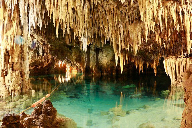 Half-Day Sea Turtle and Cenote Snorkeling Tour from Cancun & Riviera Maya - Reef rules that protect turtles (and how to stay on the good side of the guides)