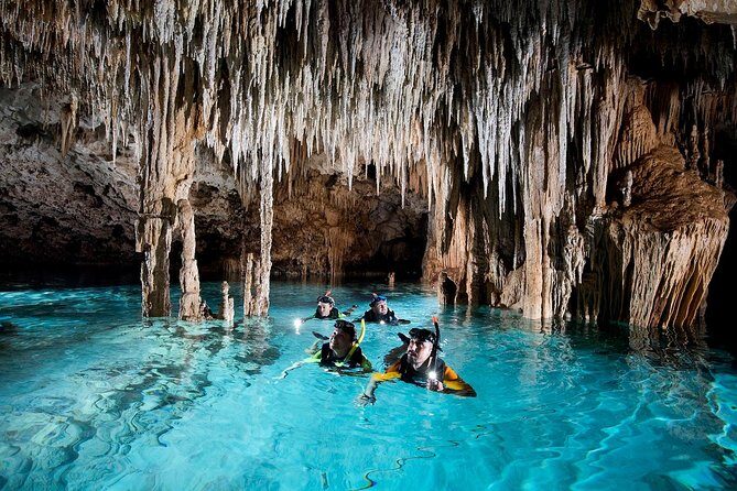 Half-Day Sea Turtle and Cenote Snorkeling Tour from Cancun & Riviera Maya - Guide and photographer impact: small details that change your day