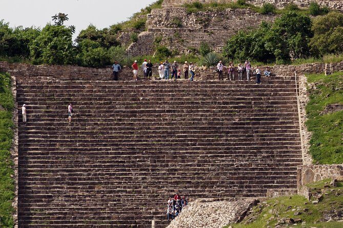 Half day tour to Monte Albán - Museum time and practical on-site comforts