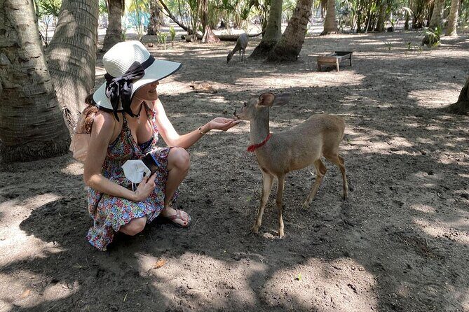 Half-Day Tour to Ventanilla, Mazunte, Zipolite and Puerto Angel - Quick hits: what you’ll actually notice
