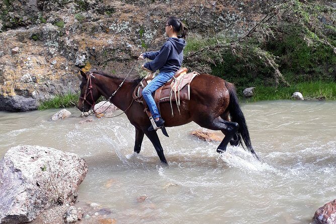 Half Day Trail Riding in San Miguel de Allende - Price and Value: Is $156 Worth It