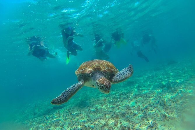 Half-Day Underwater World Tour - On-the-Day Conservation Tax: What You Must Bring to Pay