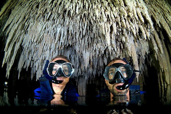Half-Day Underwater World Tour - Underground Cenote Walk-In: Mangroves, Rock Formations, and Clear Water