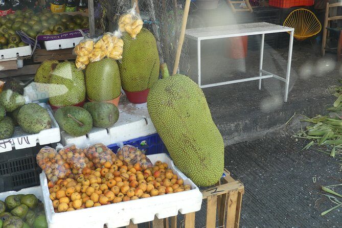 Hidden Acapulco: Off-the-Beaten-Path Immersive with Local Lunch - Who should book Hidden Acapulco (and who might pass)