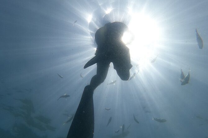 Hidden Beach Snorkeling Adventure - Yelapa coastline cruise: the hidden beaches you’ll spot from the water