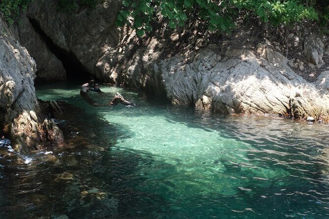 Hidden Beach Snorkeling Adventure - Snorkel Stop 1: Majahuitas Beach (what to expect underwater)