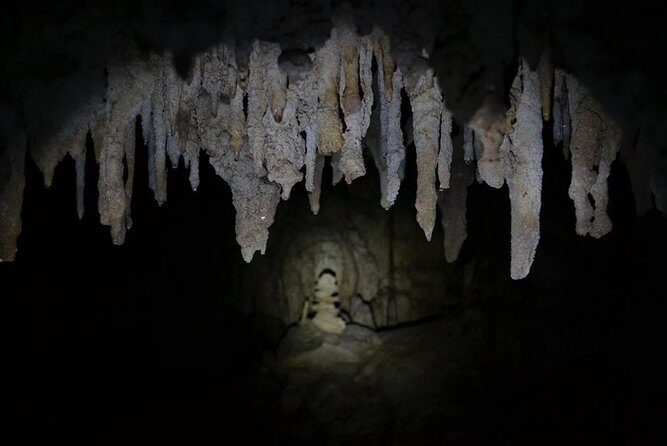 Hidden Cenote exploration in Playa del Carmen - Snorkeling Gear and Wetsuit Rentals: Stay Comfortable in the Water