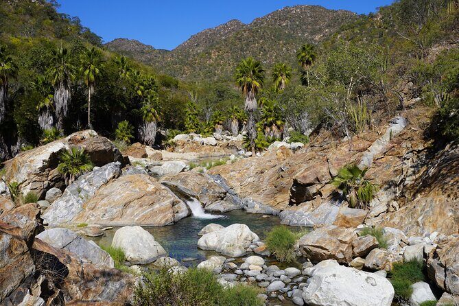 Hidden Waterfalls Hiking Adventure - Sierra de la Laguna stops: viewpoints, plant spotting, and backcountry roads